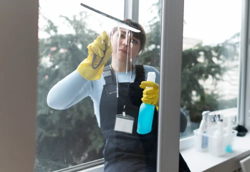 Nettoyage de vitres intérieures et extérieures à Squiffiec